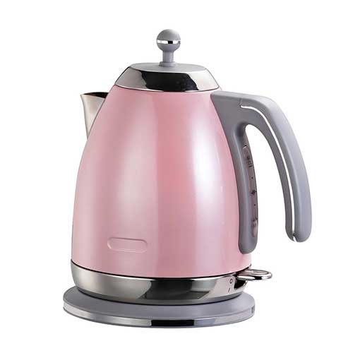 DS-103 Electric Kettle